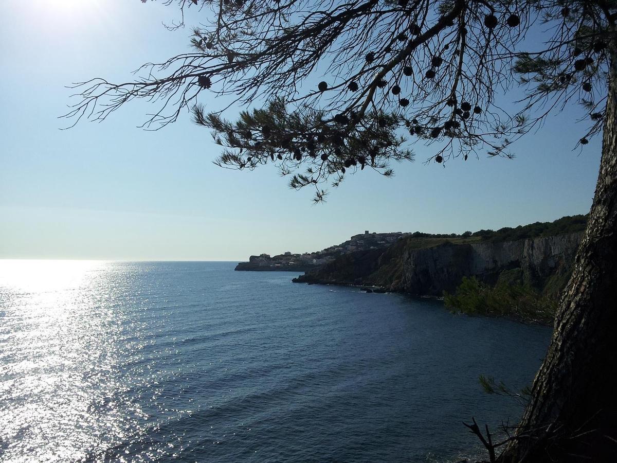 Riells De Mar A6 Apartment L' Escala Bagian luar foto